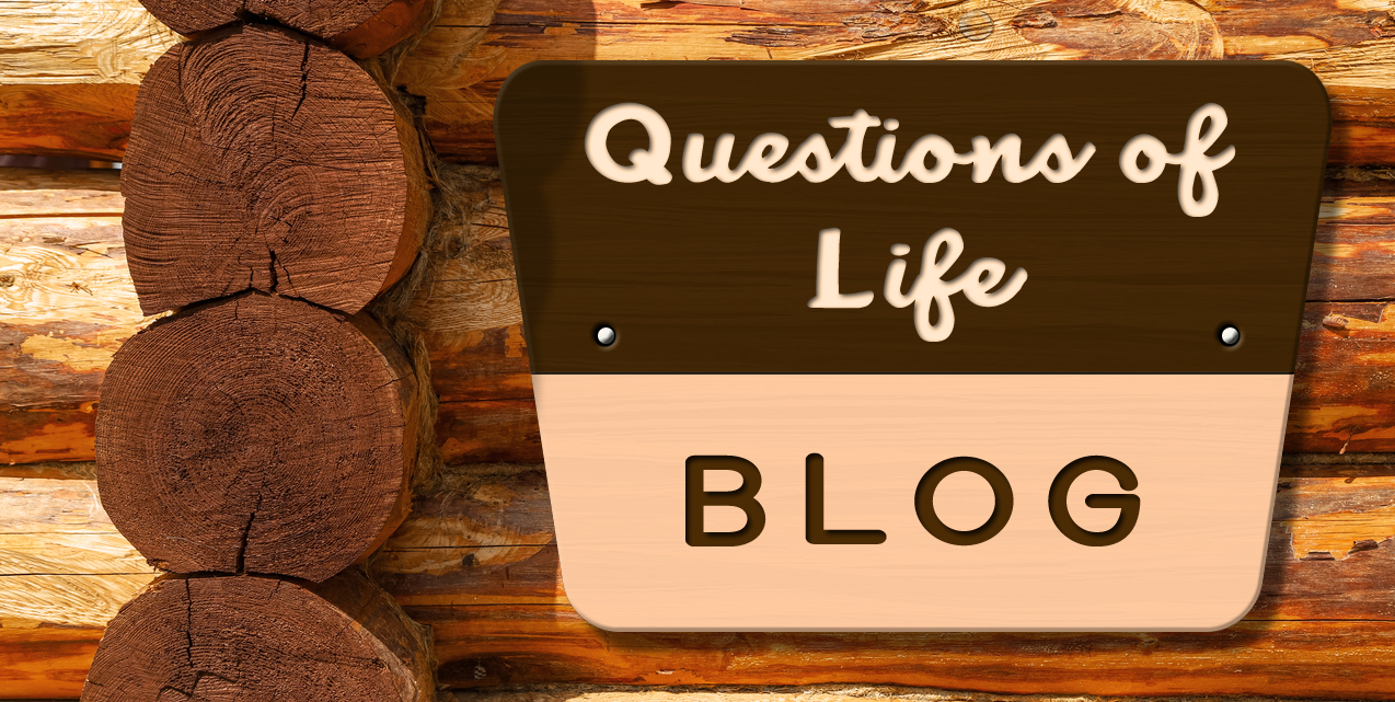 questions of life blog header image.